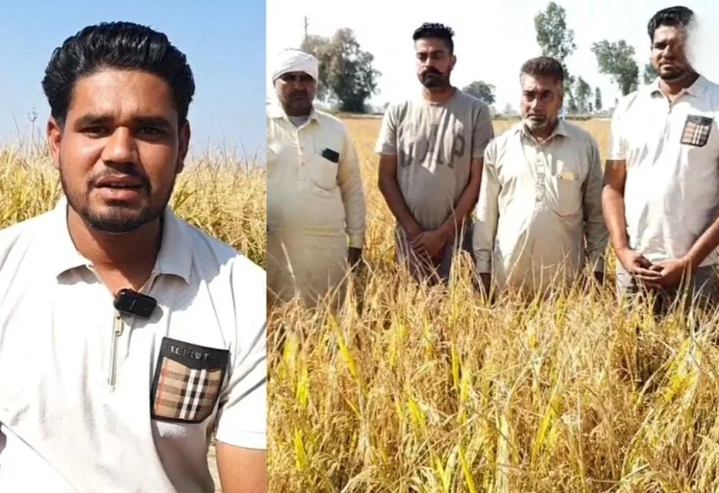 ਮਾਨਸਾ’ਚ ਸੈਟੇਲਾਈਟ ਸਿਸਟਮ ਦਾ ਨਵਾਂ ਕਾਰਨਾਮਾ; ਬਿਨਾ ਅੱਗ ਲਾਏ ਹੀ ਕਿਸਾਨ ਨੂੰ ਭੇਜਿਆ ਪਰਾਲੀ ਸਾੜਨ ਦਾ ਨੋਟਿਸ