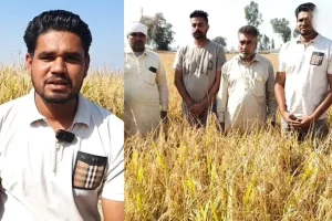 ਮਾਨਸਾ’ਚ ਸੈਟੇਲਾਈਟ ਸਿਸਟਮ ਦਾ ਨਵਾਂ ਕਾਰਨਾਮਾ; ਬਿਨਾ ਅੱਗ ਲਾਏ ਹੀ ਕਿਸਾਨ ਨੂੰ ਭੇਜਿਆ ਪਰਾਲੀ ਸਾੜਨ ਦਾ ਨੋਟਿਸ